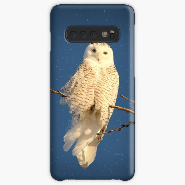 Guardian Angel Samsung Galaxy Snap Case