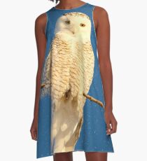 Guardian Angel A-Line Dress