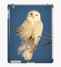 Guardian Angel iPad Case/Skin