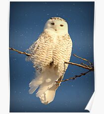 Guardian Angel Poster