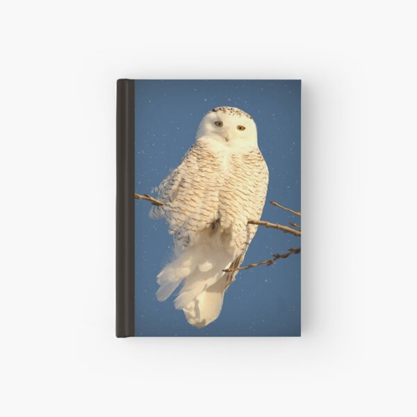 Guardian Angel Hardcover Journal