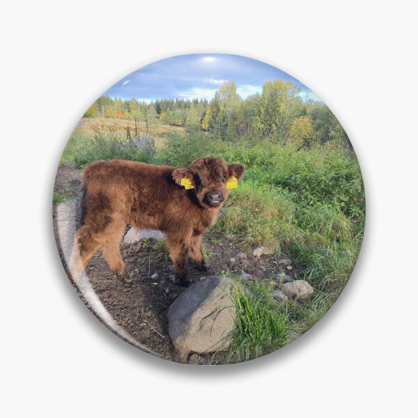 Artikelvorschau, Scottish Highland Cattle Calf 4090 entworfen und verkauft von SaarelaHighland.