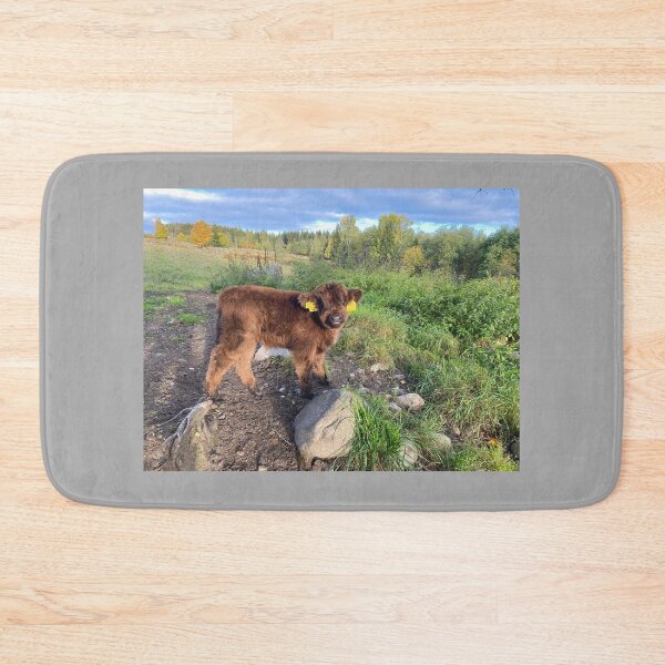 Item preview, Scottish Highland Cattle Calf 4090 designed and sold by SaarelaHighland.