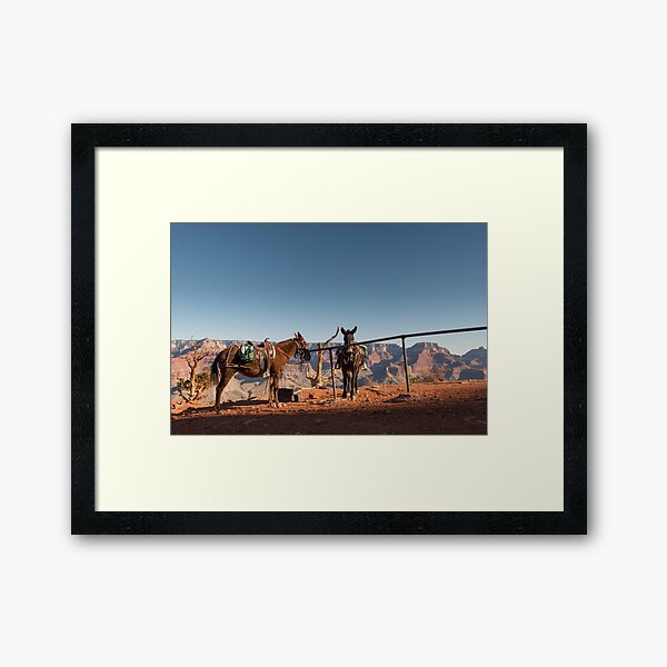 All in a Day's Work – Grand Canyon National Park, Arizona Framed Art Print