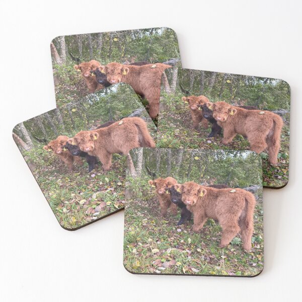 Artikelvorschau, Scottish Highland Cattle Calves 4093 entworfen und verkauft von SaarelaHighland.