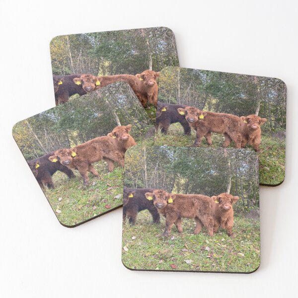 Item preview, Scottish Highland Cattle Calves 4095 designed and sold by SaarelaHighland.