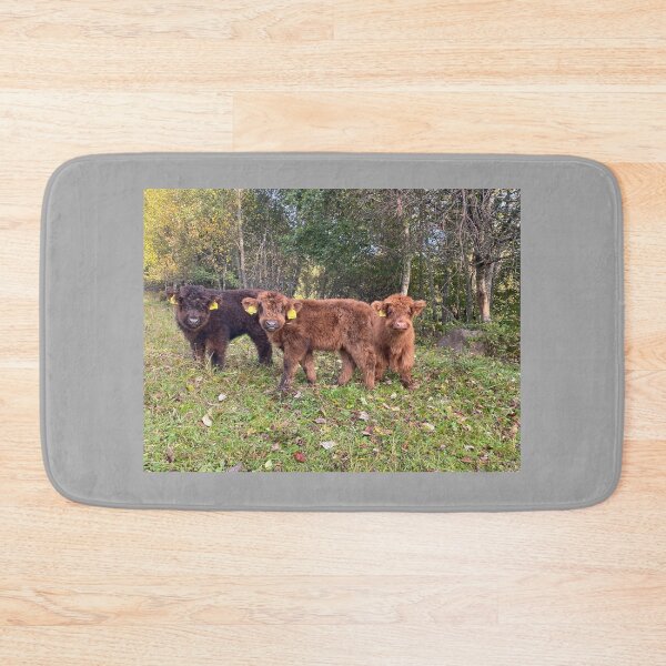 Item preview, Scottish Highland Cattle Calves 4095 designed and sold by SaarelaHighland.