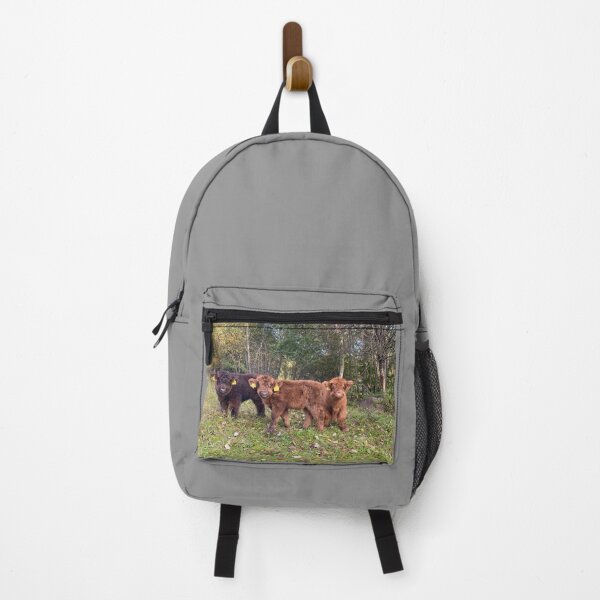 Item preview, Scottish Highland Cattle Calves 4095 designed and sold by SaarelaHighland.