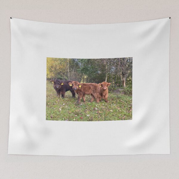 Item preview, Scottish Highland Cattle Calves 4095 designed and sold by SaarelaHighland.