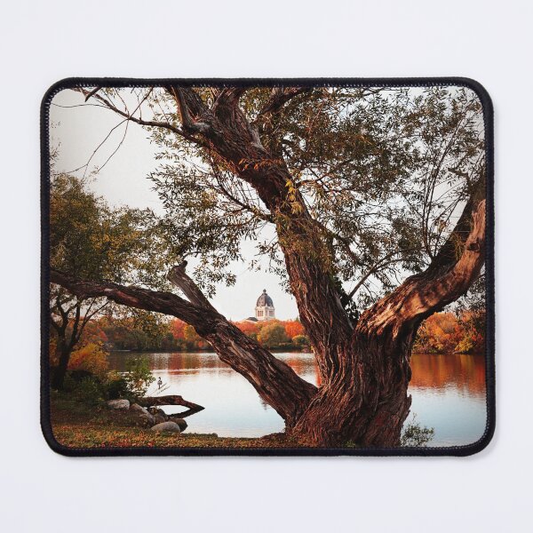 Item preview, Through the Tree #2 designed and sold by timdaytimages.
