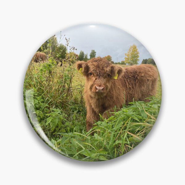 Artikelvorschau, Scottish Highland Cattle Calf 4097 entworfen und verkauft von SaarelaHighland.