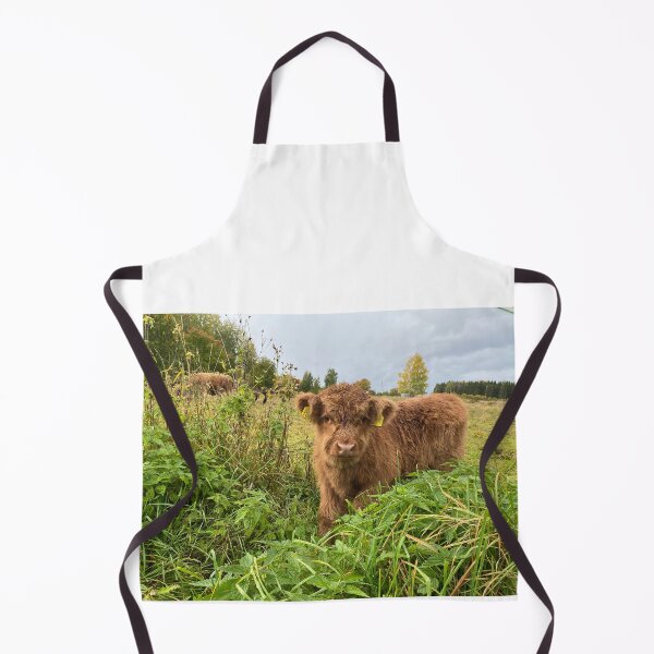 Aperçu de l'œuvre Scottish Highland Cattle Calf 4097 créée et vendue par SaarelaHighland.