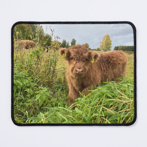 Item preview, Scottish Highland Cattle Calf 4097 designed and sold by SaarelaHighland.