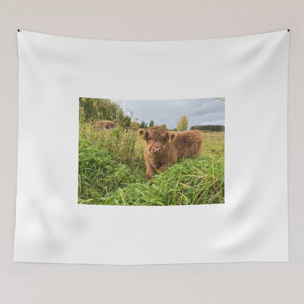 Item preview, Scottish Highland Cattle Calf 4097 designed and sold by SaarelaHighland.