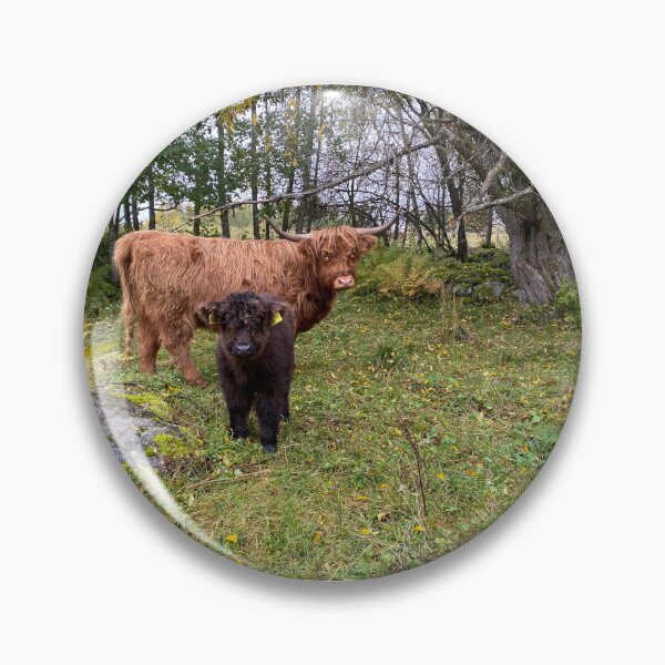 Artikelvorschau, Scottish Highland Cattle Calf and Heifer 4099 entworfen und verkauft von SaarelaHighland.
