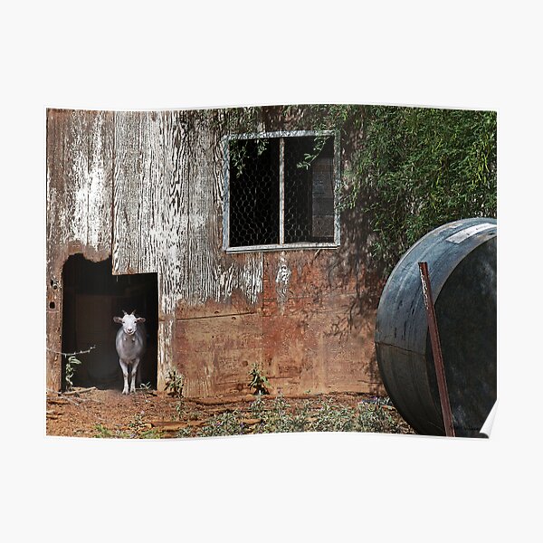 Billy Goat Watch Poster