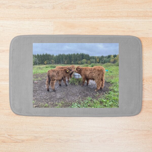 Item preview, Scottish Highland Cattle Calves 4100 designed and sold by SaarelaHighland.