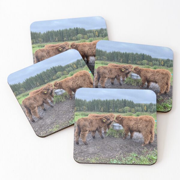 Item preview, Scottish Highland Cattle Calves 4100 designed and sold by SaarelaHighland.