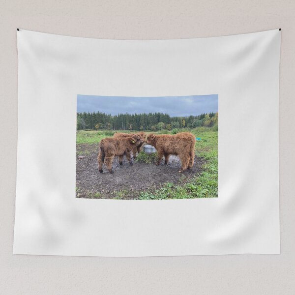 Item preview, Scottish Highland Cattle Calves 4100 designed and sold by SaarelaHighland.