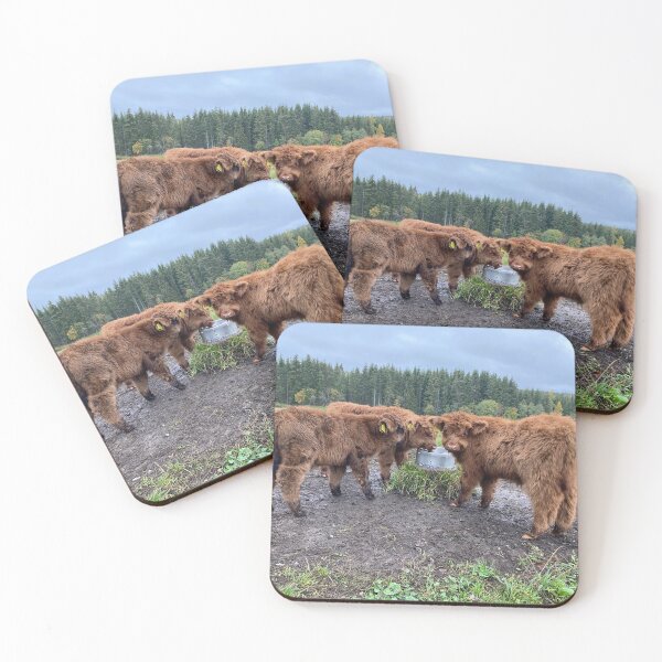 Item preview, Scottish Highland Cattle Calves 4101 designed and sold by SaarelaHighland.