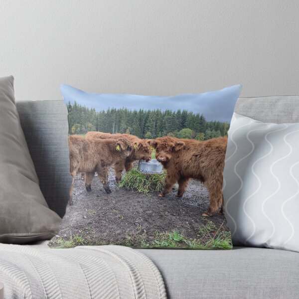 Item preview, Scottish Highland Cattle Calves 4101 designed and sold by SaarelaHighland.
