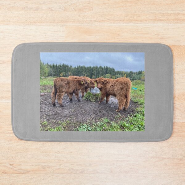 Item preview, Scottish Highland Cattle Calves 4101 designed and sold by SaarelaHighland.