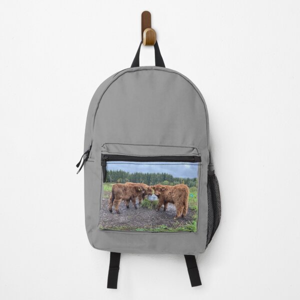 Item preview, Scottish Highland Cattle Calves 4101 designed and sold by SaarelaHighland.