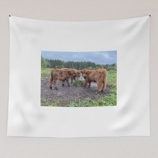 Item preview, Scottish Highland Cattle Calves 4101 designed and sold by SaarelaHighland.