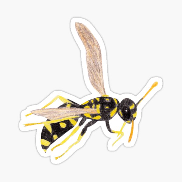Wasp Sticker