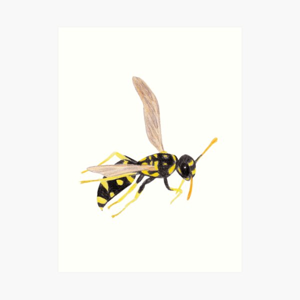 Wasp Art Print
