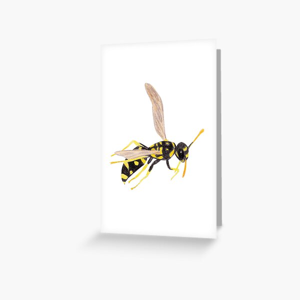 Wasp Greeting Card