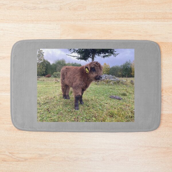 Item preview, Scottish Highland Cattle Calf 4103 designed and sold by SaarelaHighland.
