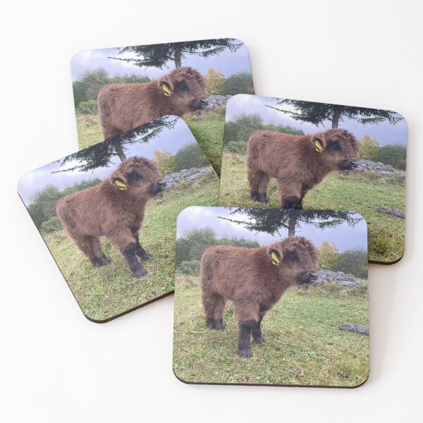 Item preview, Scottish Highland Cattle Calf 4103 designed and sold by SaarelaHighland.