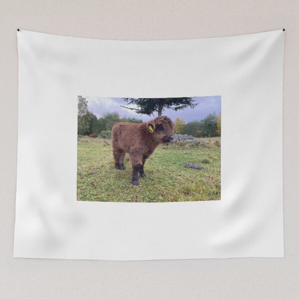 Item preview, Scottish Highland Cattle Calf 4103 designed and sold by SaarelaHighland.