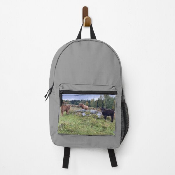 Item preview, Scottish Highland Cattle Calf 4104 designed and sold by SaarelaHighland.