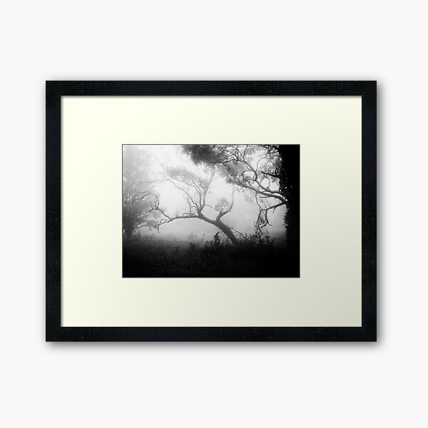 Item preview, Trees in the Mist designed and sold by Geoff Smith.