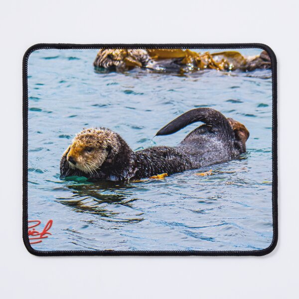 Item preview, Sea Otters at Morrow Bay Image by Rich AMeN Gill designed and sold by RichAMeNGill.