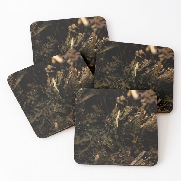 Item preview, Rotting Wood designed and sold by Arc1.