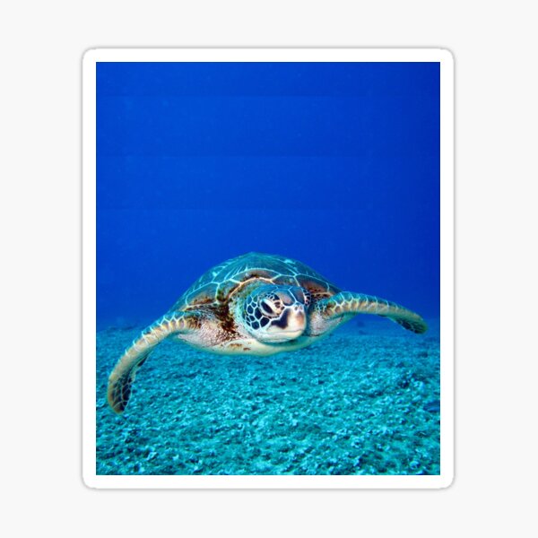 Item preview, Sea turtle t-shirt designed and sold by e-Shop67.