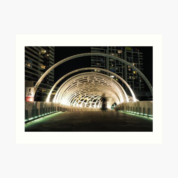 Caught in a Web Art Print