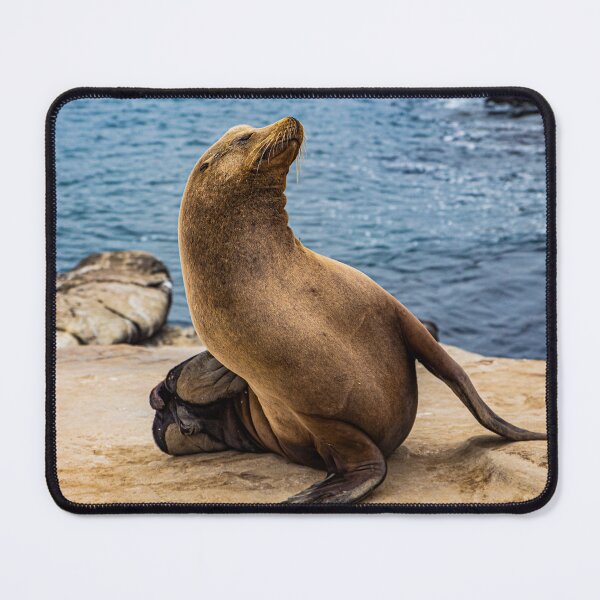 Item preview, "Now That's a Pose" Image by Rich AMeN Gill designed and sold by RichAMeNGill.