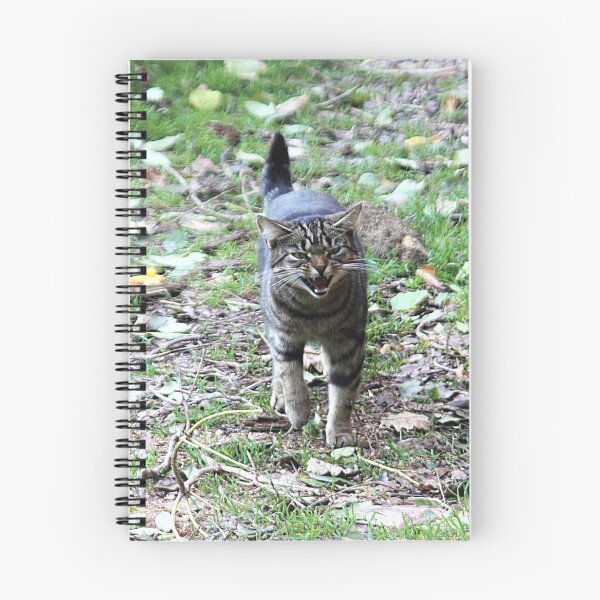 Item preview, tabby cat designed and sold by Francespoppy.