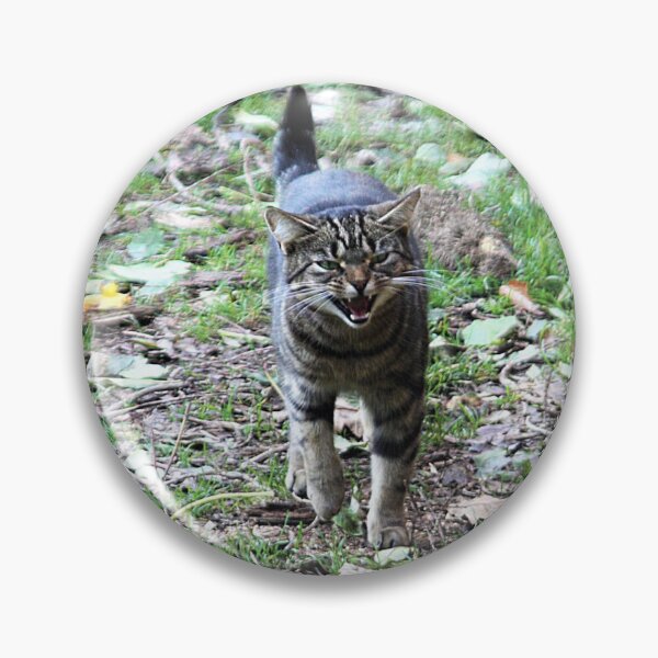 Item preview, tabby cat designed and sold by Francespoppy.