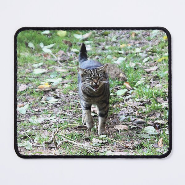 Item preview, tabby cat designed and sold by Francespoppy.