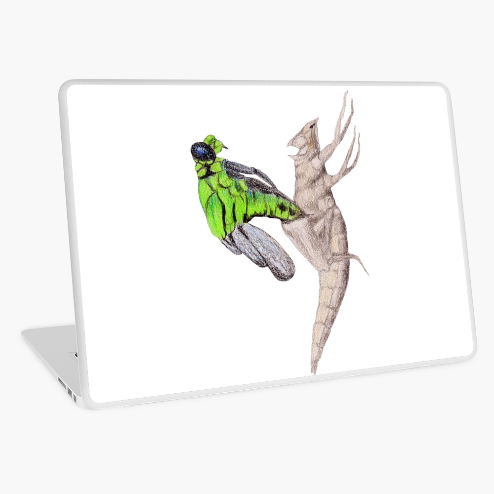 Dragonfly emerging Laptop Skin