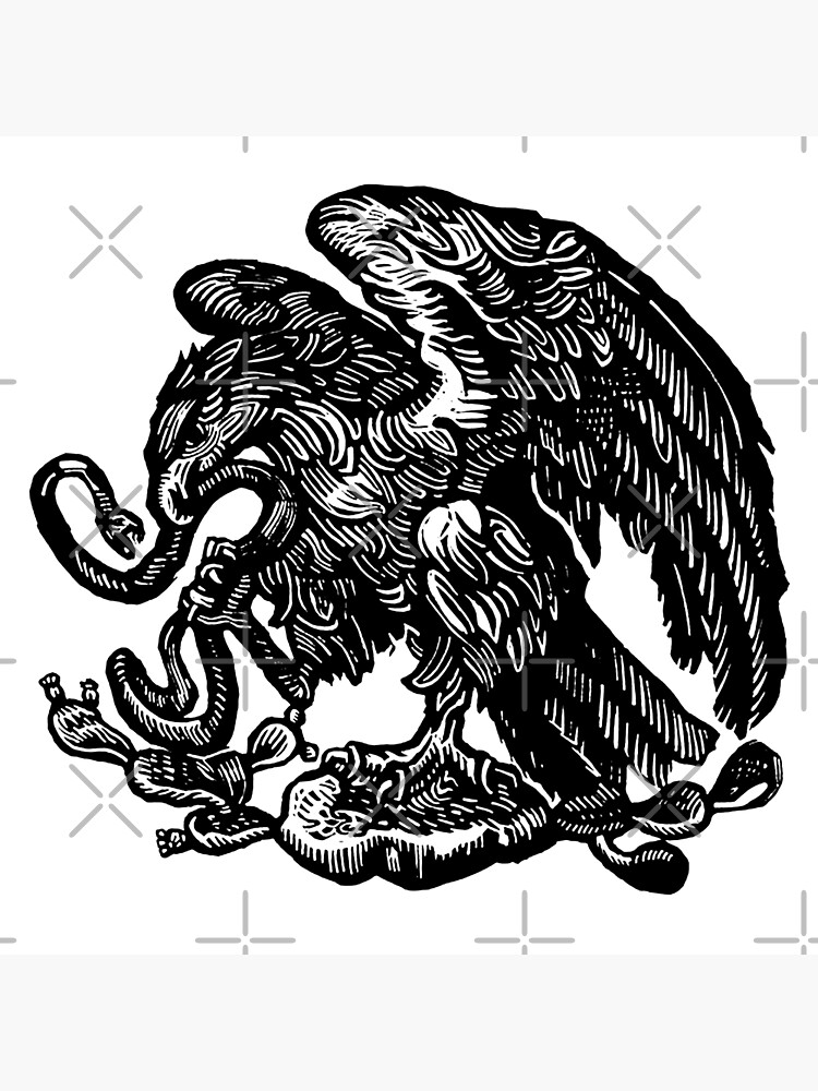 "Traditional Eagle Eating Snake Tattoo" Poster for Sale by Cesarcali