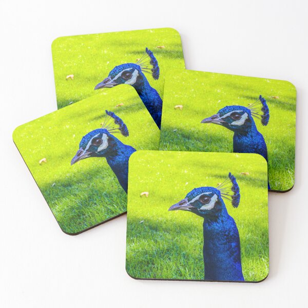 Item preview, "Peacock Stare Down" Image By Rich AMeN Gill designed and sold by RichAMeNGill.