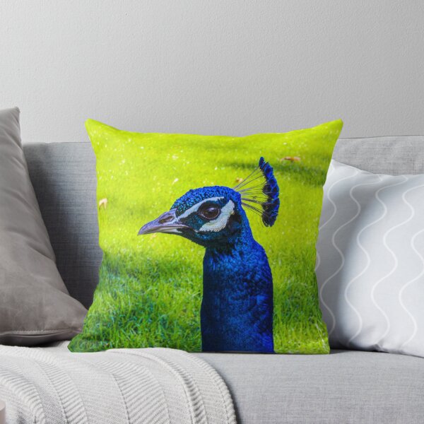 Item preview, "Peacock Stare Down" Image By Rich AMeN Gill designed and sold by RichAMeNGill.