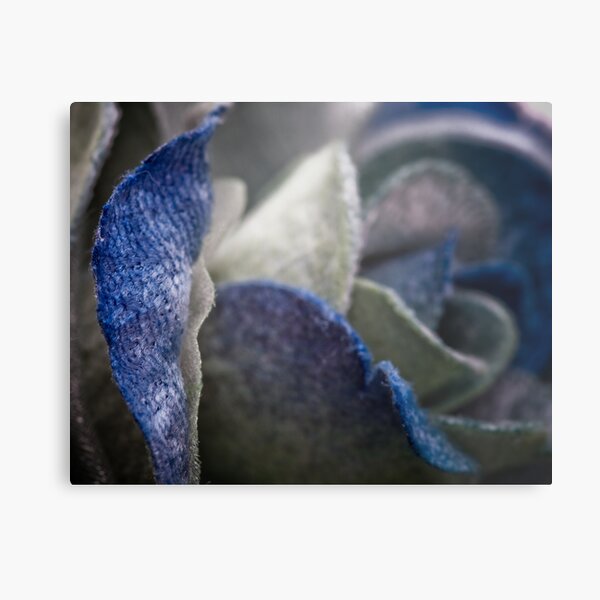 Charlatan Metal Print