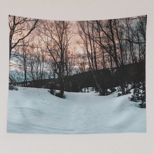 Item preview, Winter Scene designed and sold by Taceo10.